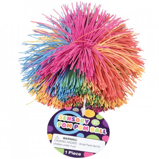 ✨Sensory Pom Pom Ball