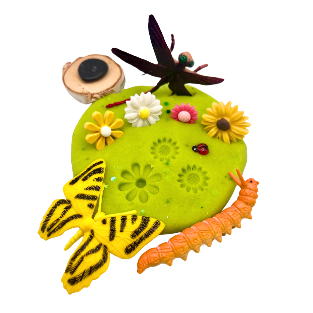 Butterfly & Bug Playdough Sensory Kit: Educational Insect-Themed Play Kit