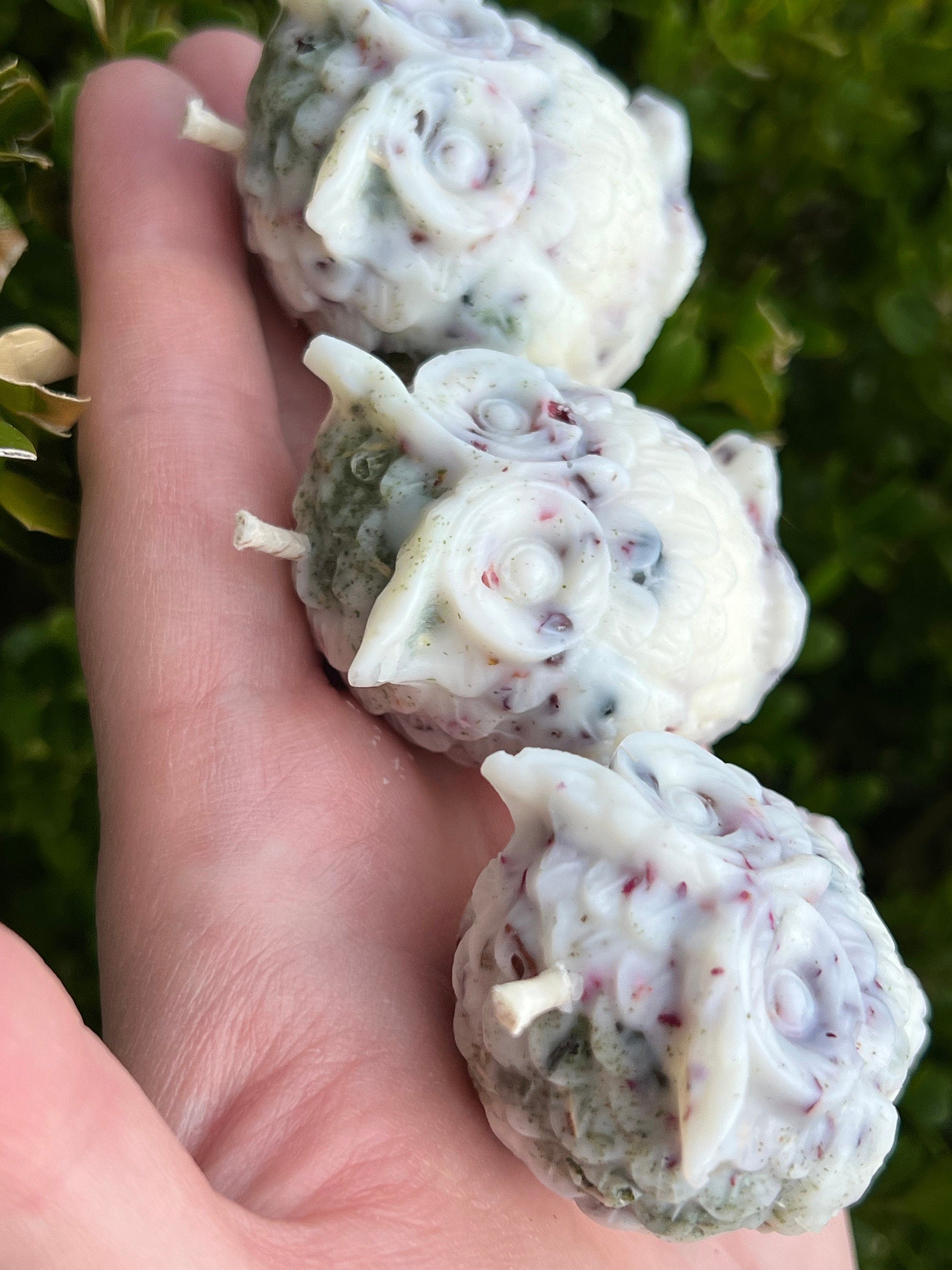 SPECIAL EDITION Lilith Offering Ritual Owl Crystal Candles | Dark Moon Goddess Lilit Temptress Witchcraft Altar Spell Magic Deity Intention