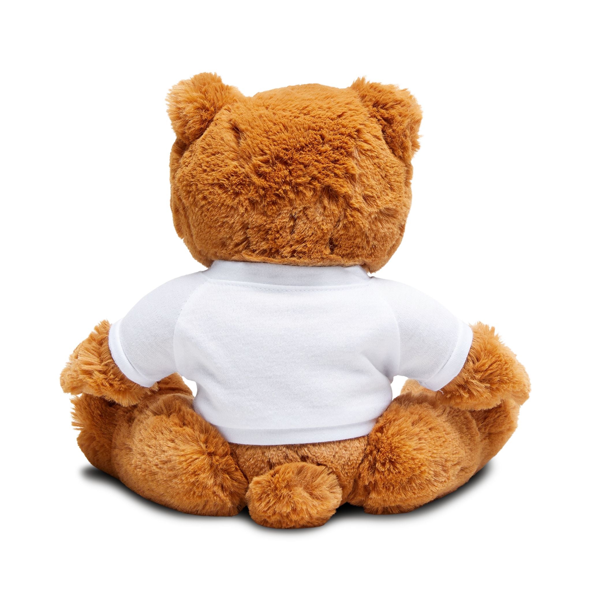 Cuddle Crew Teddy Bear – NeuroVibe Shop™ Plush Bear with Rainbow Bunny & Teddy Friendship Shirt