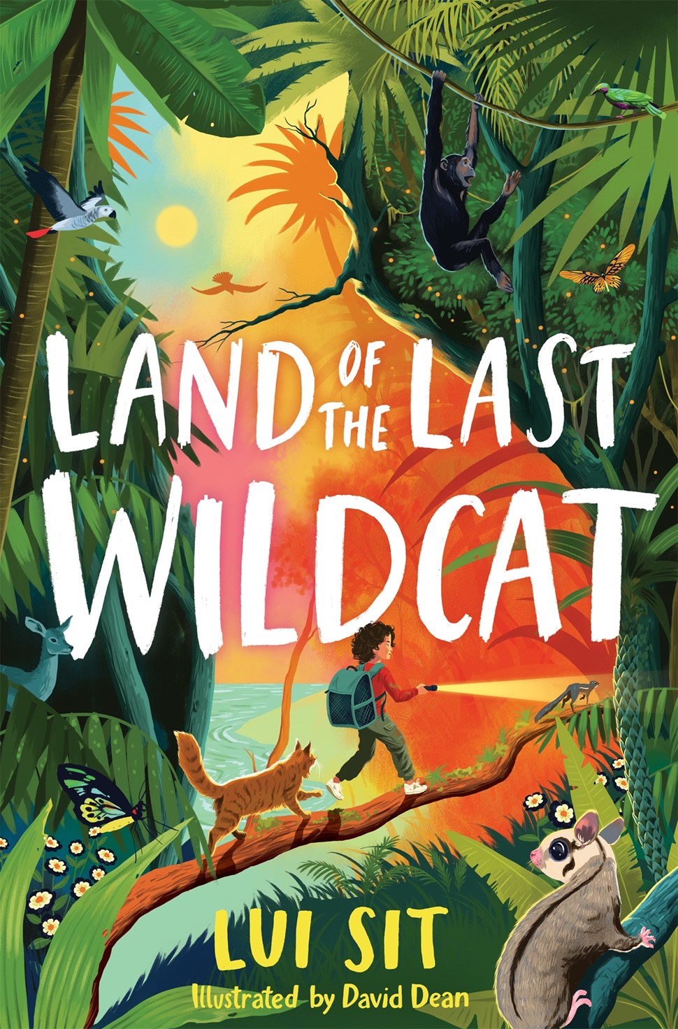 Middle Grade Book Subscription Box: JUNE Selection: Strays and Land of the Lost Wildcat
