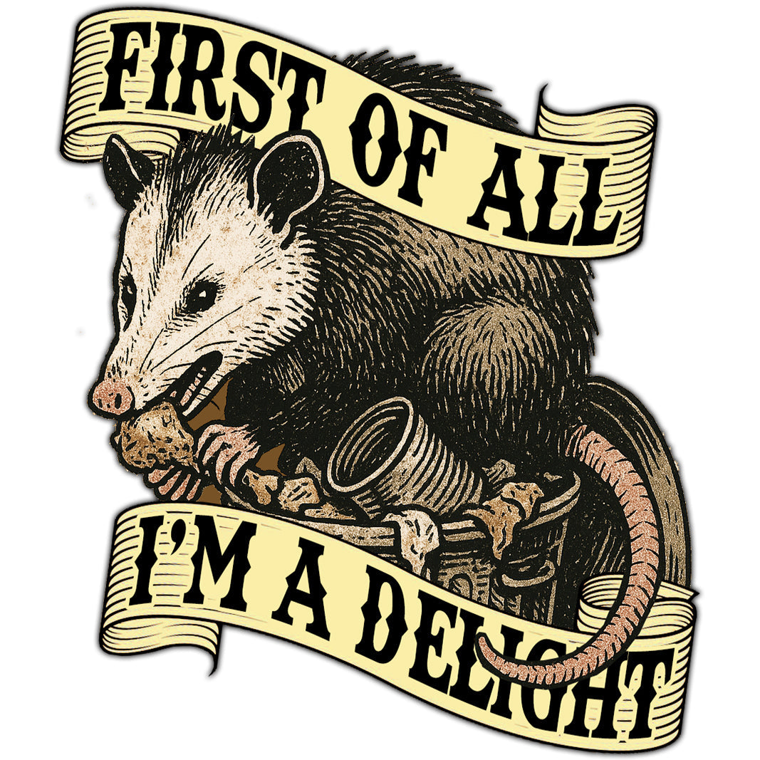 Echoes of Jake: You Had to Know Me (I’m a Delight Magnet)