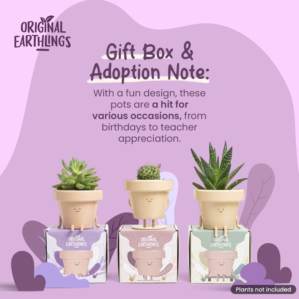 Dangly Legs Mood Planter