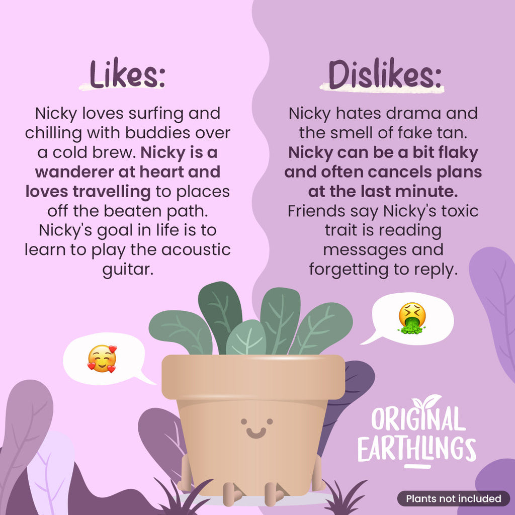 Dangly Legs Mood Planter