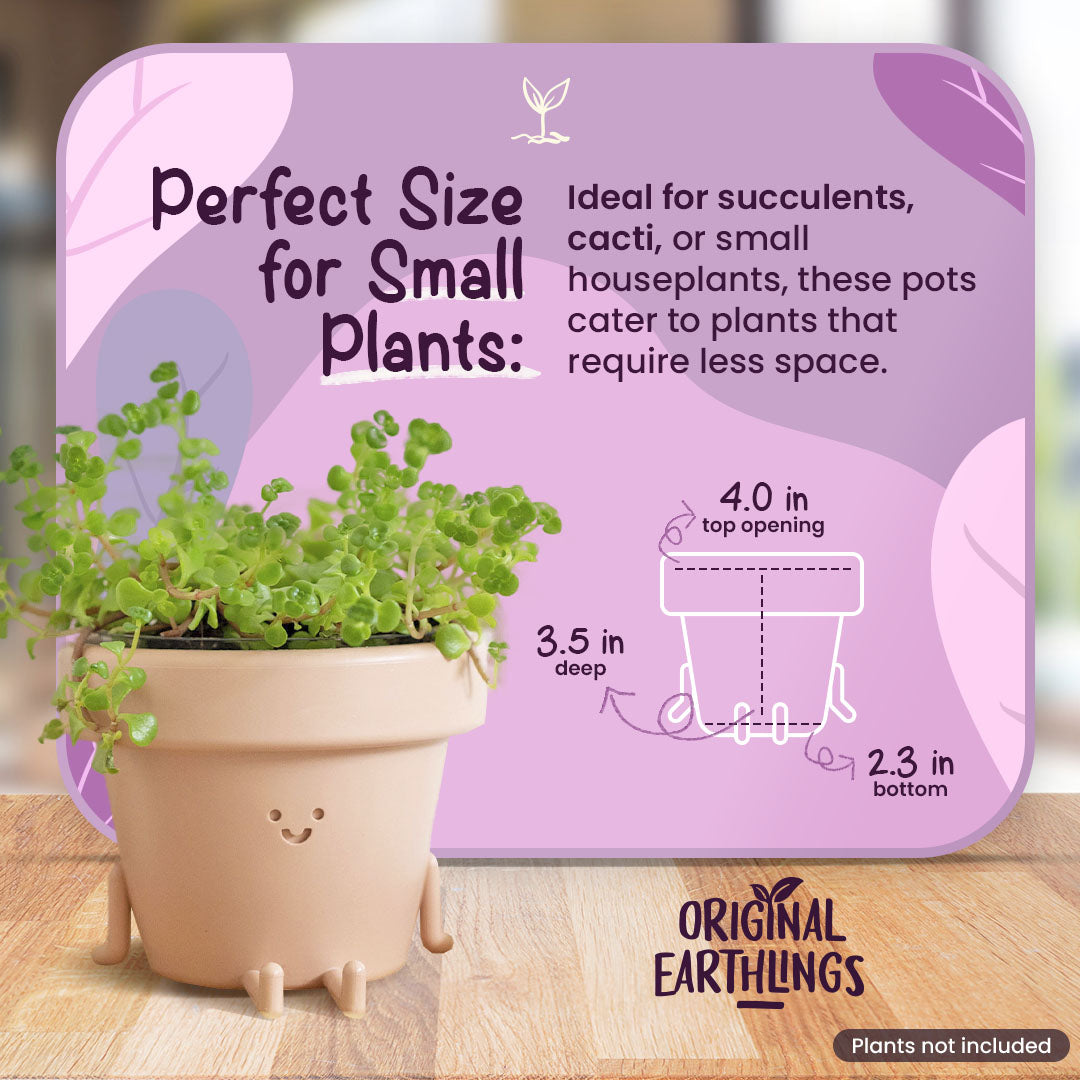 Dangly Legs Mood Planter
