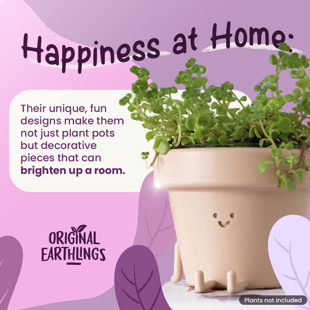 Dangly Legs Mood Planter
