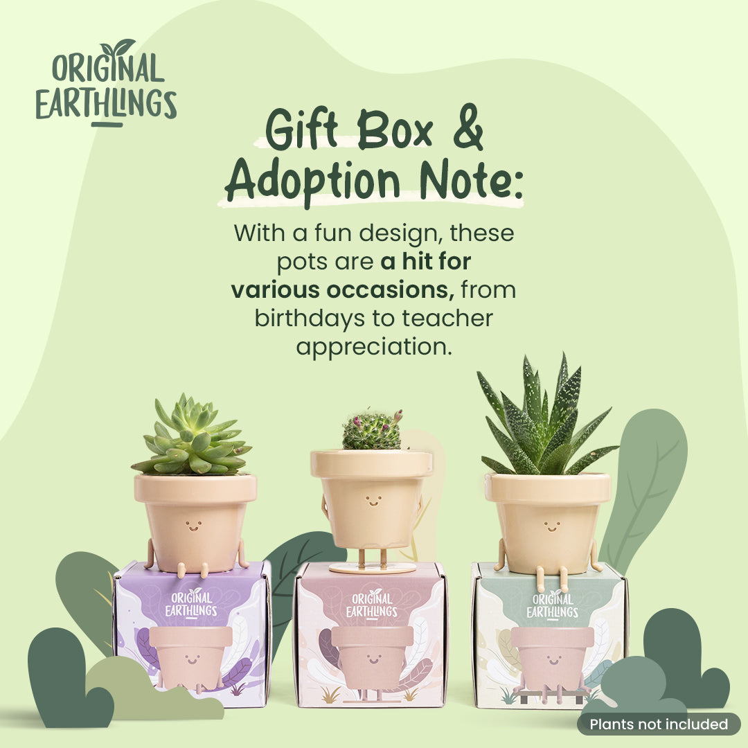 Tiny Companion Sitting Planter