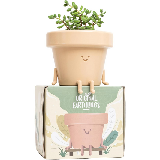 Tiny Companion Sitting Planter