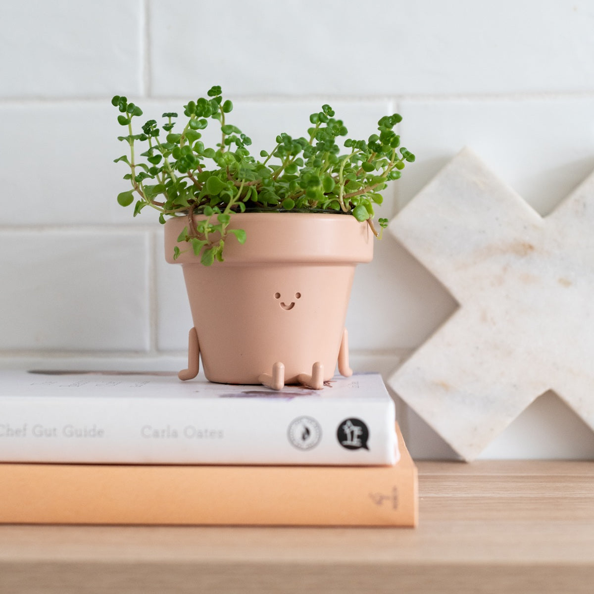Dangly Legs Mood Planter