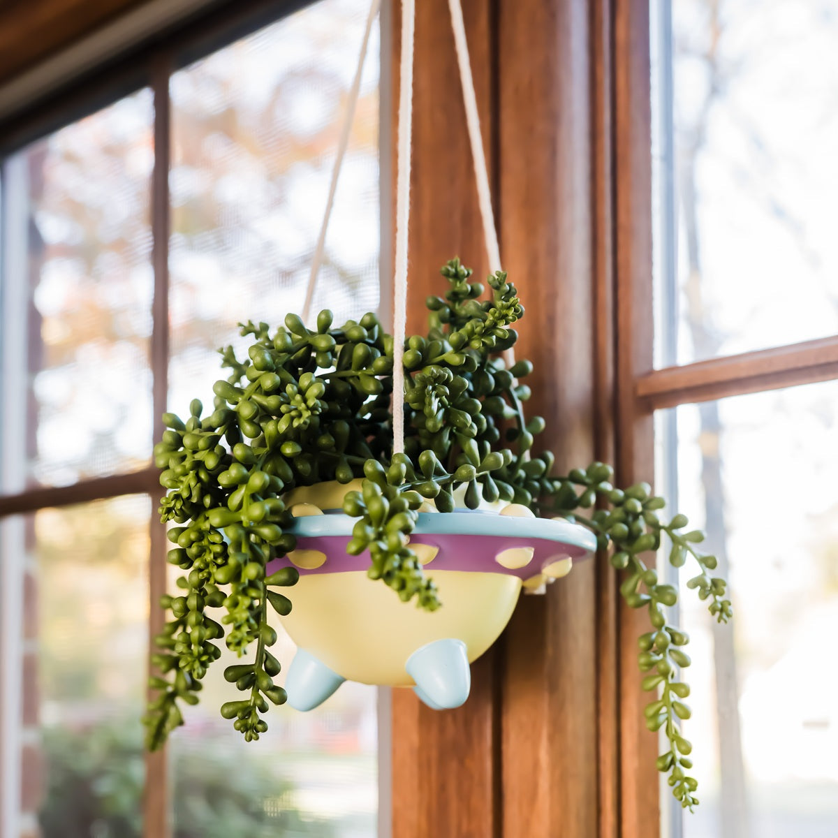 Galaxy Garden UFO Planter
