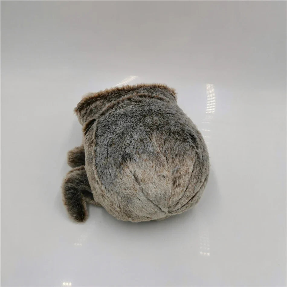 🕷️Black Spider Plush Pillow – Super Cute