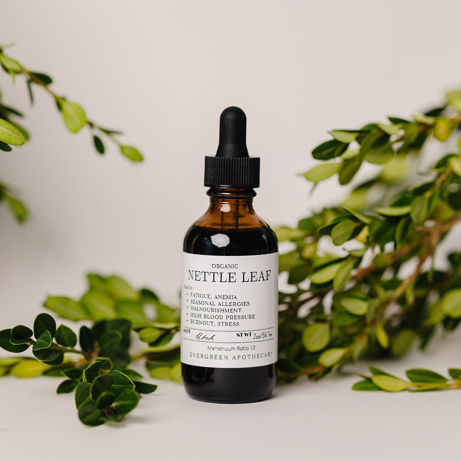 Nettle Leaf Herbal Support Tincture