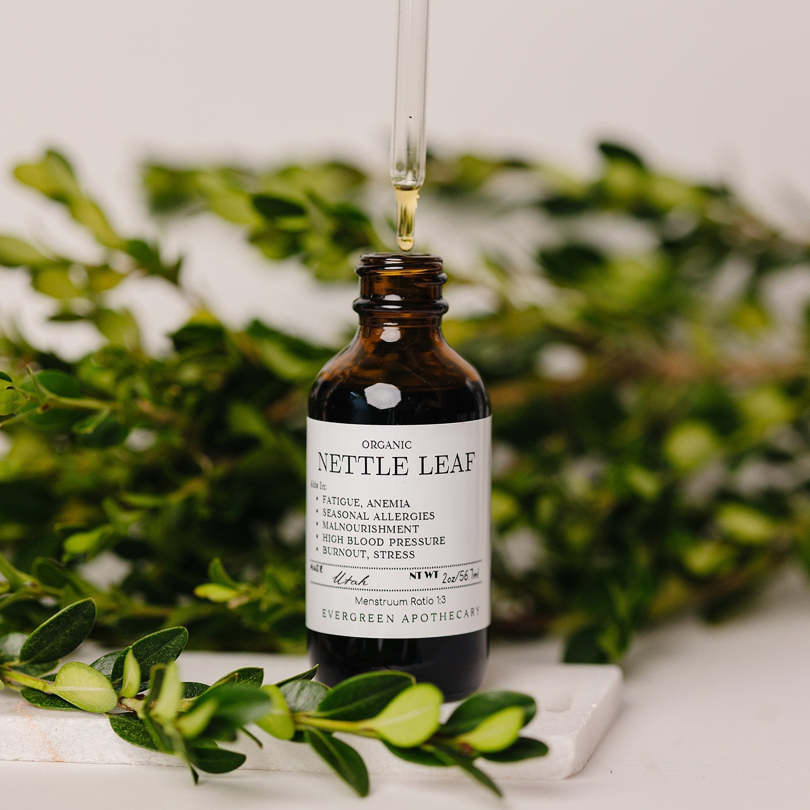 Nettle Leaf Herbal Support Tincture