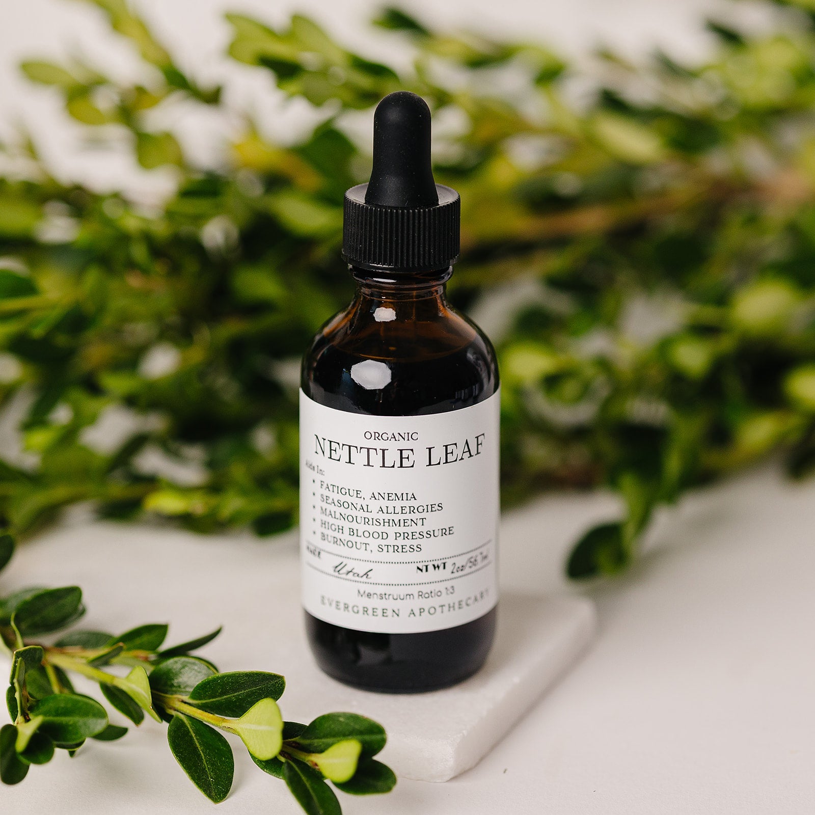 Nettle Leaf Herbal Support Tincture